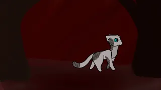 Discord Dark Forest MAP intro
