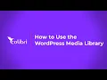How to Use the WordPress Media Library