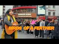 Download Lagu Everyone STOPPED for this BIRDS OF A FEATHER cover | Billie Eilish