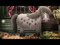 Nighty Night - Bedtime Story - Go to sleep together with cute animals | Fox & Sheep Games