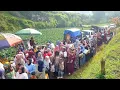 Download Lagu AMPUN INI MAH !!! JAJAP PENGANTIN TERBANYAK VIRAL DI KABUPATEN GARUT JAWA BARAT