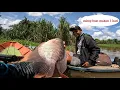 Download Lagu Mancing gurame !! Ketika feeling 1000% di pakai begini jadi nya auto olahraga sama ikan