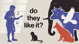 What do other animals think of human music?