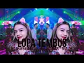 Download Lagu DJ TIKTOK | LOPA TEMBUS DROPSHOT MIX 2019 | MARTINUSR™ BBT