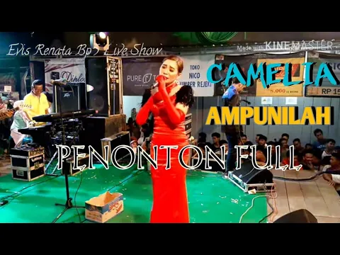 Download MP3 CAMELIA - AMPUNILAH - Cover Evis Renata
