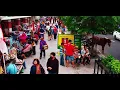 Yogyakarta - Kla Project (Cover by Mitty Zasia)