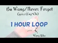 [1 HOUR LOOP] 𝐁𝐮 𝐖𝐚𝐧𝐠/𝐍𝐞𝐯𝐞𝐫 𝐅𝐨𝐫𝐠𝐞𝐭 | Lan Wangji Character Song | The Untamed OST | Wang Yibo
