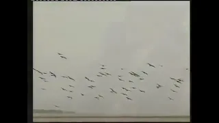 asubuhi njema