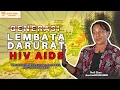 Download Lagu Sisi Gelap Lembata: Aktivis Nefi Eken Bongkar Fakta HIV/AIDS \u0026 Pergaulan Bebas