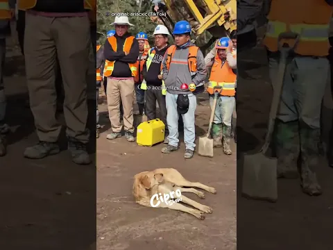 CERO ACCIDENTES #viral
