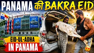 Panama Mein Bakra Eid Kaise Hoti Hai? 🇵🇦 | Qurbani Vlog 2026 | Siraj Nalla