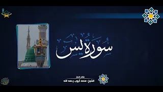 تلاوۃ متمیزۃ رائعۃ جدا سورة يس مقام الحجاز للشيخ محمد أيوب رحمه الله جودة عالية 
