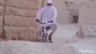 د خیاط نوي فلم 