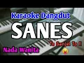 Download Lagu SANES - KARAOKE || NADA WANITA || Happy Asmara || Audio HQ || Live Keyboard