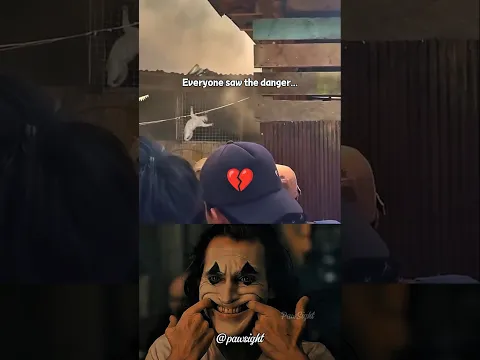 The Cat Fell Back Into the Fire… Then Someone Risked Everything 💔 #cat #viral #algorithm