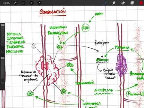 Download MP3 Ultrarresumen: Antiagregantes, anticoagulantes, fibrinolisis