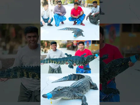 Crocodile Curry #shorts