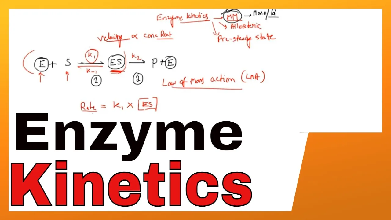 Enzyme kinetics csir net life science