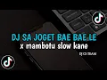 Lagu DJ SA JOGET BAE BAE LE X MAMBOTU SLOW KANE ❗️ VIRAL TIKTOK 2025