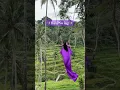 Download Lagu Bali swing ✨ #bali#indonesia#baliswing#exploremore#fyp#youtubeshorts#viralshorts