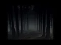 my chemical romance - the foundations of decay (slowed + reverb)