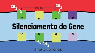 Epigenética