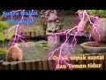 Download Lagu SUARA HUJAN DAN PETIR DI ALAM - COCOK UNTUK PENGHANTAR TIDUR!