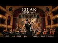 Lagu Cicak - Ai Cover Hybrid Orchestra Version (ori by Cikgu Naim)