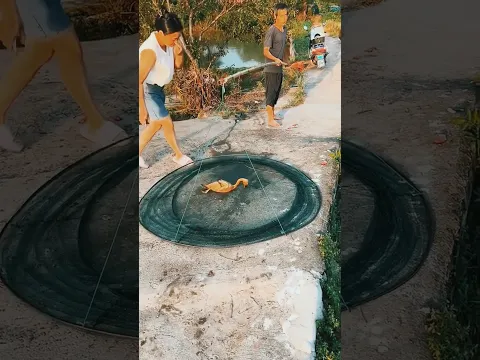 Fishing Trick 🐠#truthshortsworld #fishing