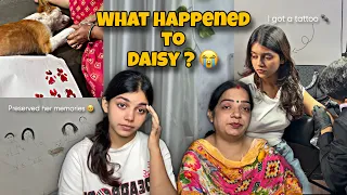 What happened to Daisy?? ππ| I got a tattoo πΎ| Preserved her memories π«Άπ»π₯Ή #littleanushkavlogs