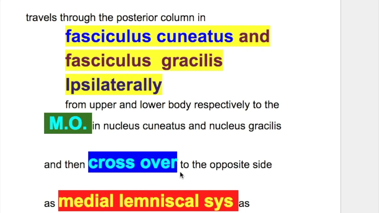 Astereognosis, stereognosis, two point discrimination, graphesthesia, Dejerine–Roussy syndrome