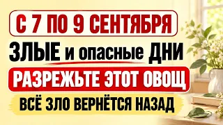 С 7 по 9 сентября опасные и злые дни: разрежьте этот овощ, и всё чужое зло вернётся назад