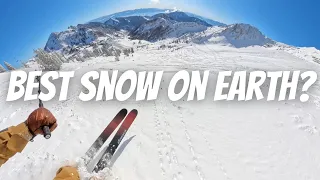 Is This the Best Powder Skiing in America Snowbird Alta