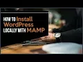 How To Install WordPress Locally With MAMP