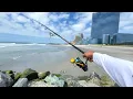 Searching the Jersey Shore for A Bite New Jersey Surf Fishing