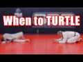 Download Lagu Turtle Is Great - When you should USE It?