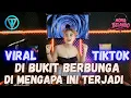 Download Lagu DUGEM NONSTOP TERBARU DJ BUKIT BERBUNGA x DJ MENGAPA INI TERJADI VIRAL NEW 💃✈️