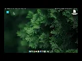How to run Terminal commands from a script on macOS