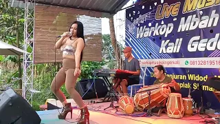 Download UUTSELIE PELAS TERI CIPT GOPY #DANGDUTJOGJA MP3