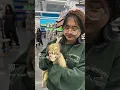 Paws Passion Unleashed The Heartwarming Tale of Pet Supplies Plus - Telfair-Sugar Land