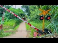 Download Lagu Perlintasan Unik Kereta Api di Pelosok Bangkong Serang, Banten