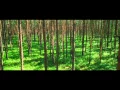 Goodnight Mommy Trailer