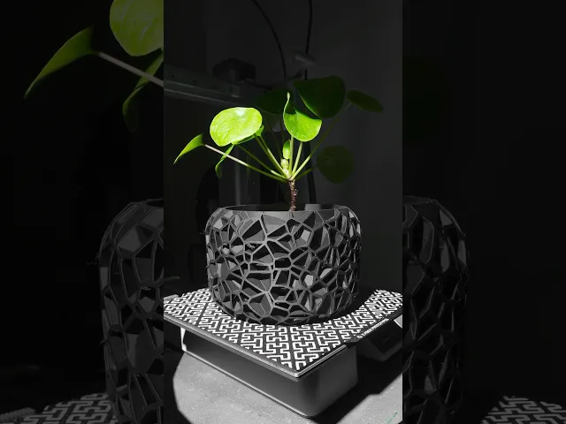 The Vori Planter Pot with Drainage Tray & Stand: Modern and Unique Home Decor for Plants video thumbnail