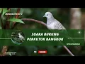 Download Lagu MANGGUNG KE-2 💔PERKUTUK BANGKOK IRAMA