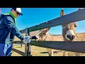 WBST BrightStone News Episode 9