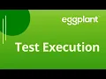 Test Execution
