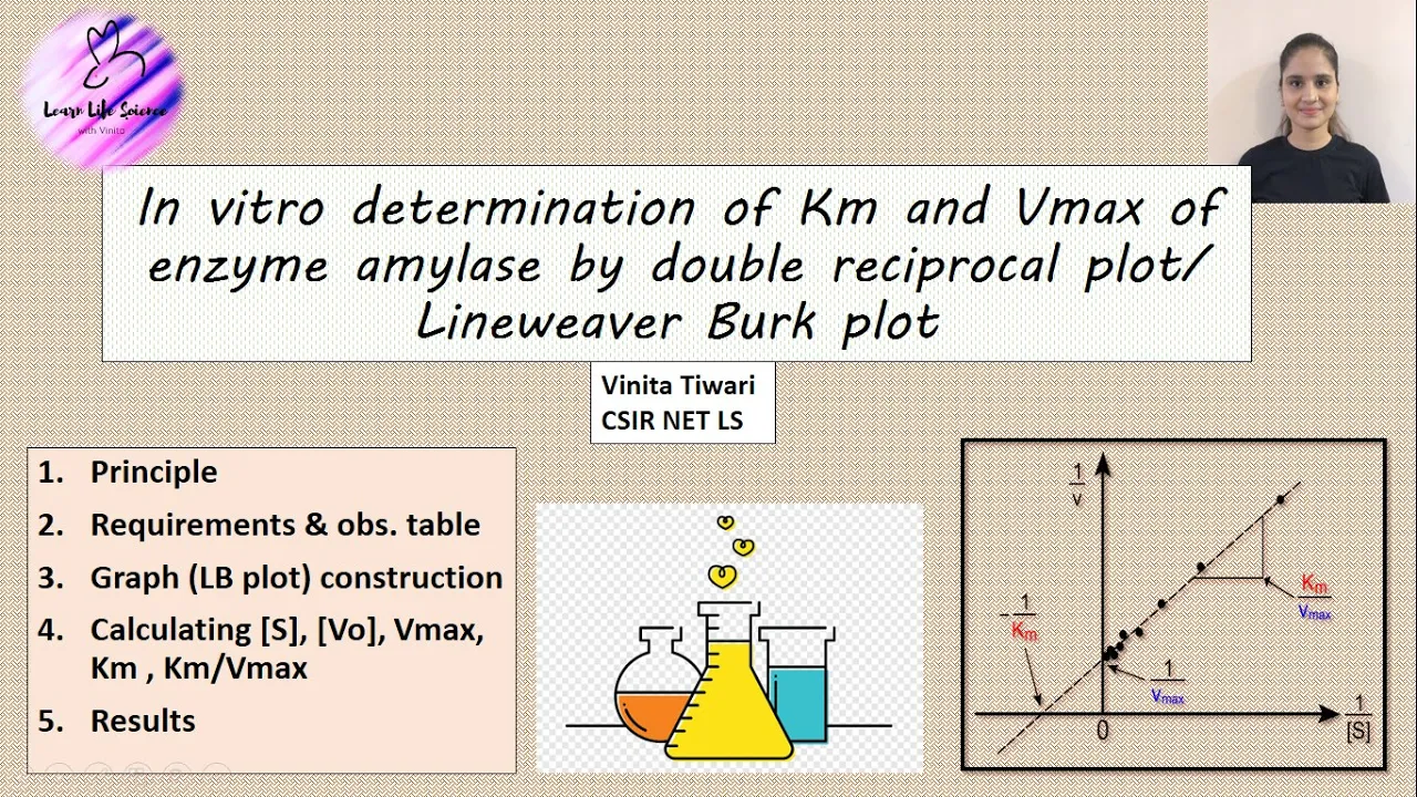 In vitro determination of Km and Vmax of amylase by double reciprocal plot or LB plot