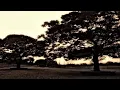 1994 - 張雨生 - 以為你都知道