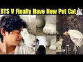 BTS V Finally Have A New Pet Cat 😺 After Yeontan 🐕 Taehyung New Pet Cat 🐈 BTS V Photo with Cat #bts 
