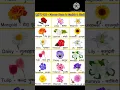 flowers name
